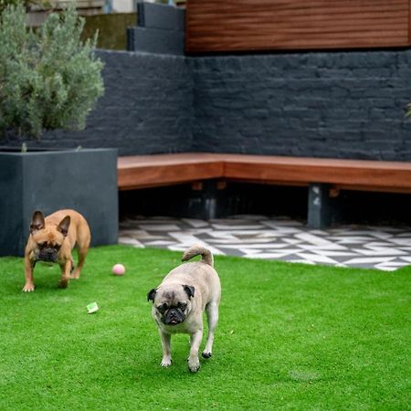 Bed and Breakfast Doghouse Margate Esterno foto